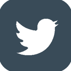 Twitter Profile